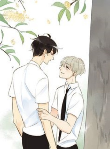 精灵签到：我开局埋伏洛奇亚（三九不是酒）完结小说全本无删减_签到系统助少年逆袭，解锁精灵之间的无限可能