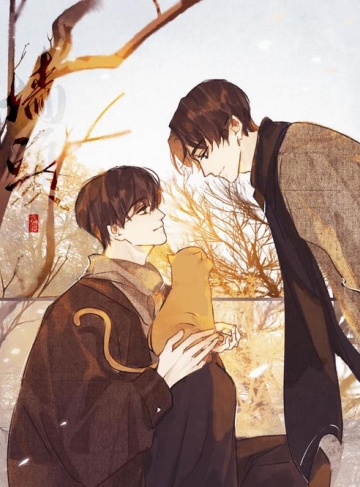 报告，这个校草喜欢我（棠糖糖）‌爆款连载小说每日更新‌_在爱与成长中寻觅自我与价值的青春之旅