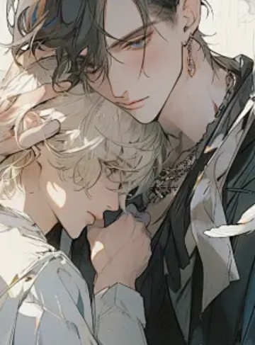 我是你的半边江山（只爱十二岁）完结小说全本无删减_细腻情感与成长的契约，展现都市爱情的真实与美好