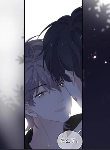 约克瑟的钥匙(猫先生咖啡馆)高分推荐小说排行榜_揭示秘密背后的人生之钥