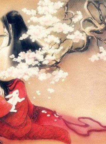 穿书后我把美貌系统上交国家了（楚楚第一名）都市言情小说合集_钟情力量与责任，书写意外人生新篇章